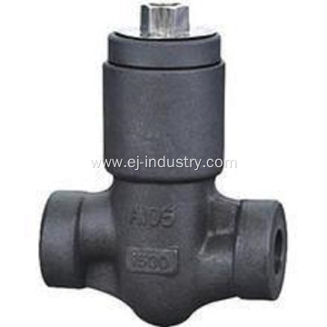 Pressure seal Forged Check Valve